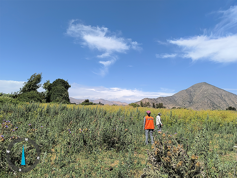 servicios-caracterizacion-1