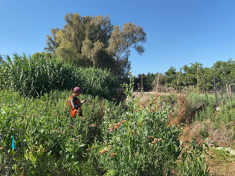 servicios-caracterizacion-3