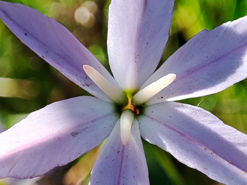 servicios-caracterizacion-4